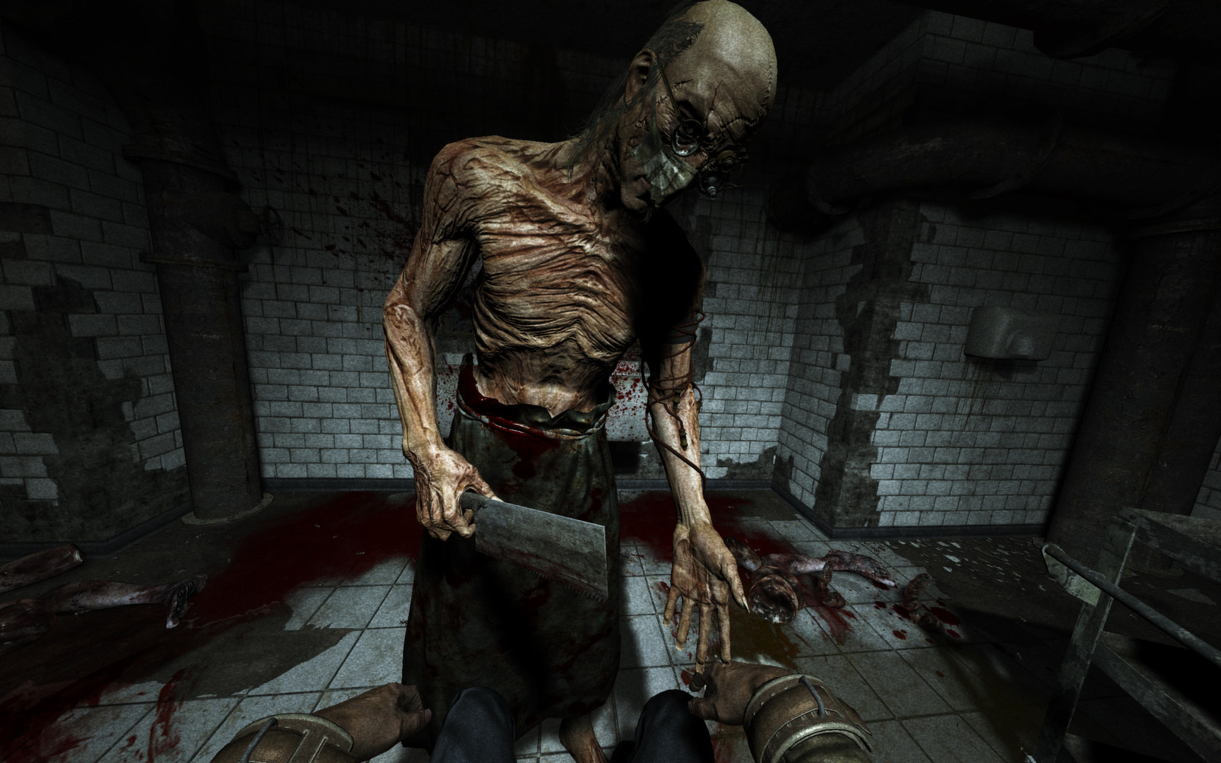 OUTLAST + WHISTLEBLOWER PL STEAM KLUCZ 24/7 +BONUS Rodzaj wydania Edycja GOTY