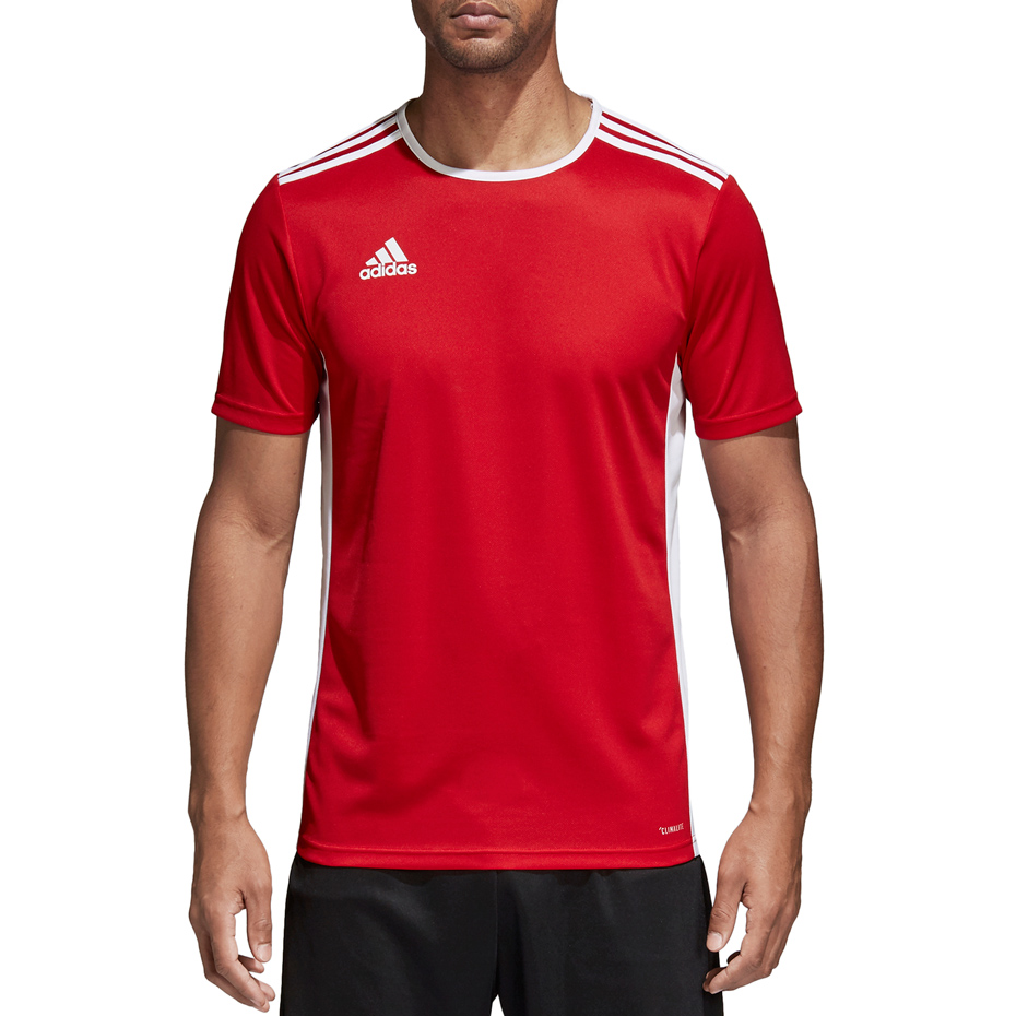 

Adidas koszulka piłkarska Entrada na siłownię S