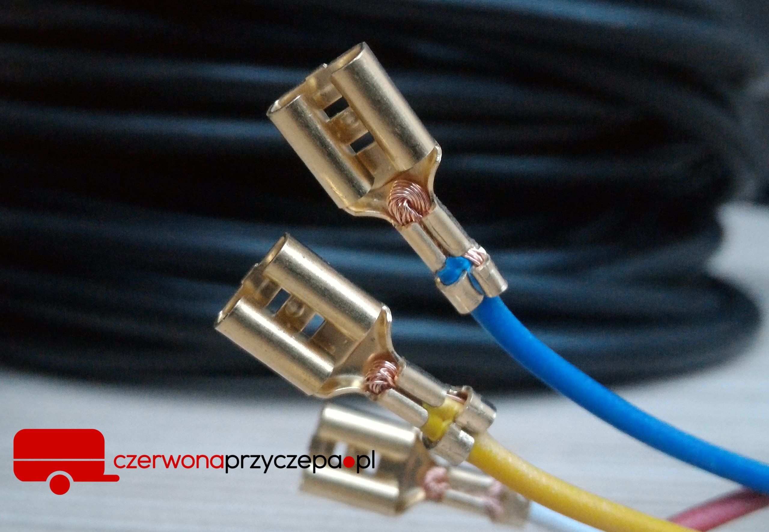 C82598984fccaf1922453aad0d49