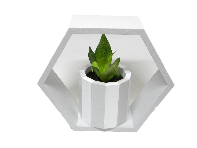 DREWNIANA PÓŁKA PLASTER MIODU HEXAGON SZARY GREY Kolor mebla Szary