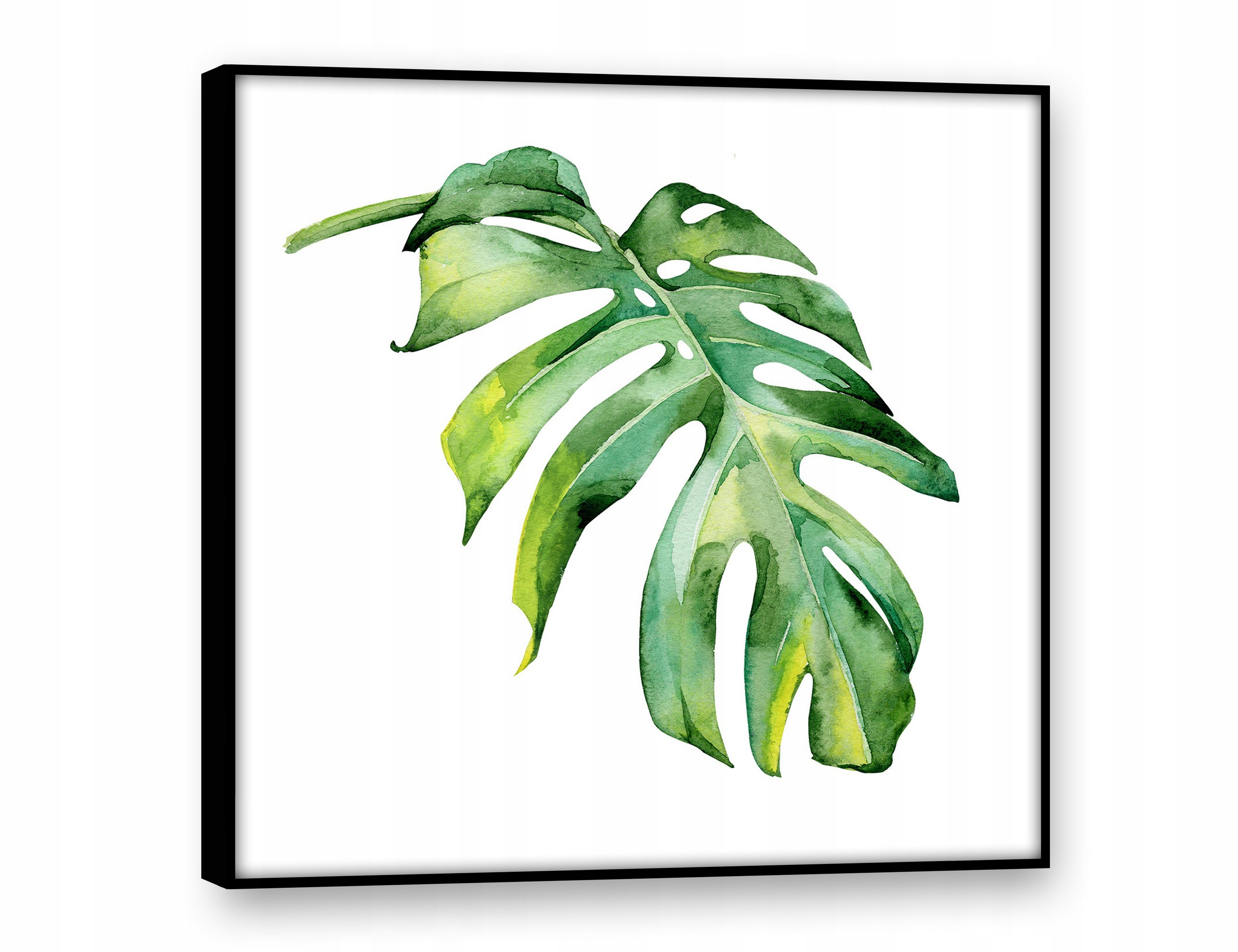 

Obrazy na płótnie 50x50 Obraz Nowoczesny Monstera