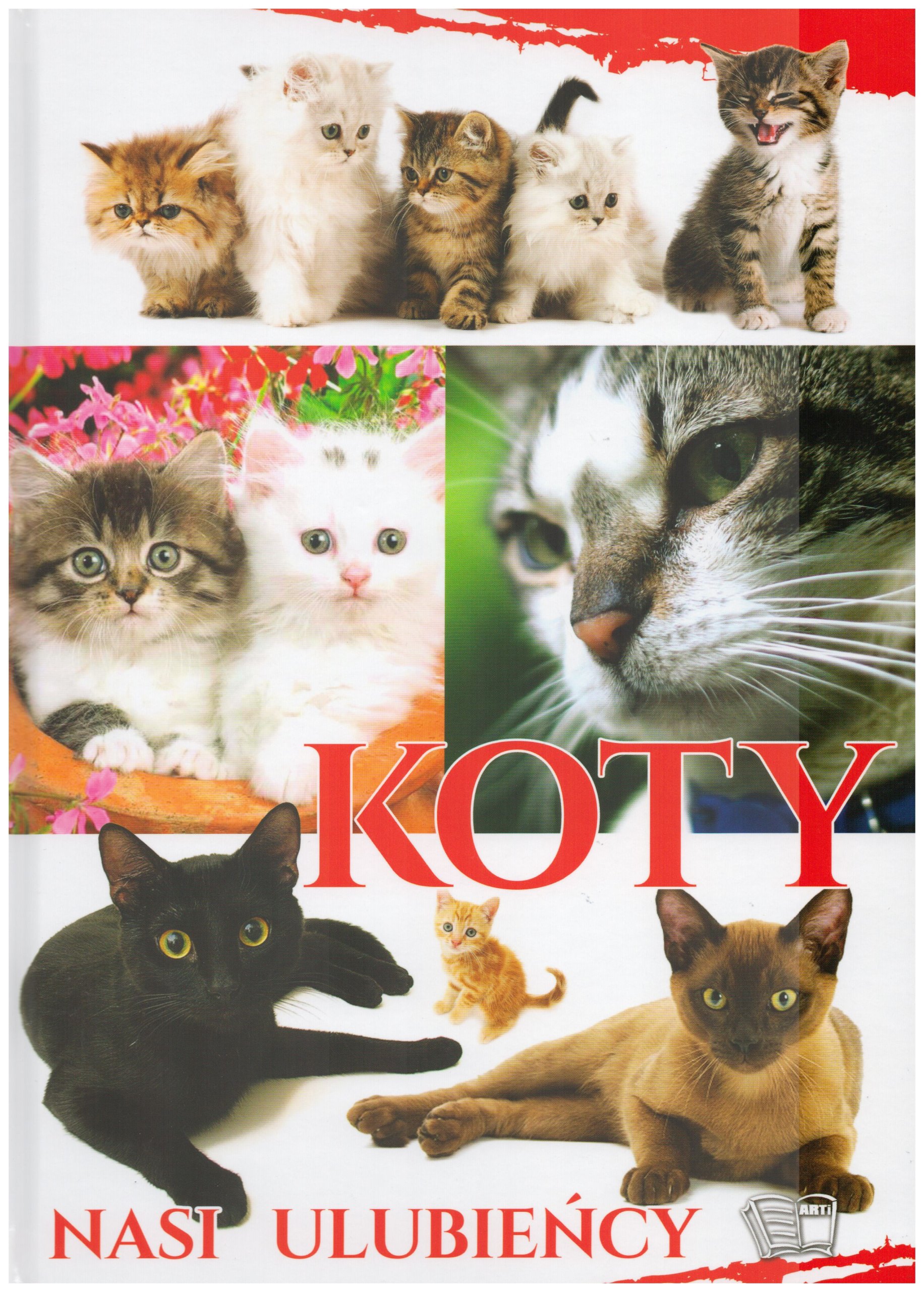 

Koty Nasi Ulubieńcy