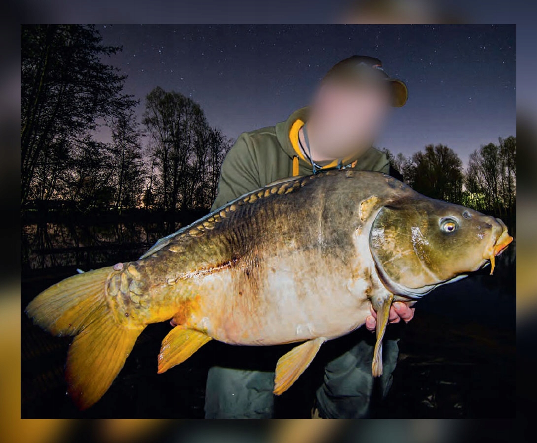 SZYBKI NAMIOT WĘDKARSKI MISTRALL 2-OSOBOWY Wodoodporność 3000 mm