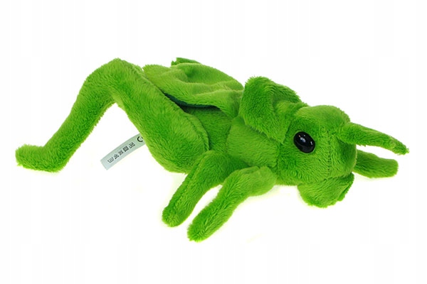 

Zoo: maskotka Konik polny Pasikonik 20cm 69648