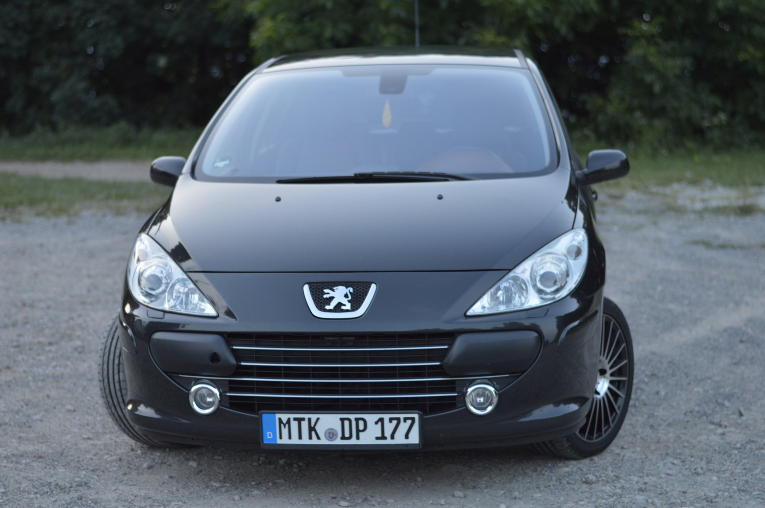 Peugeot 307 feline