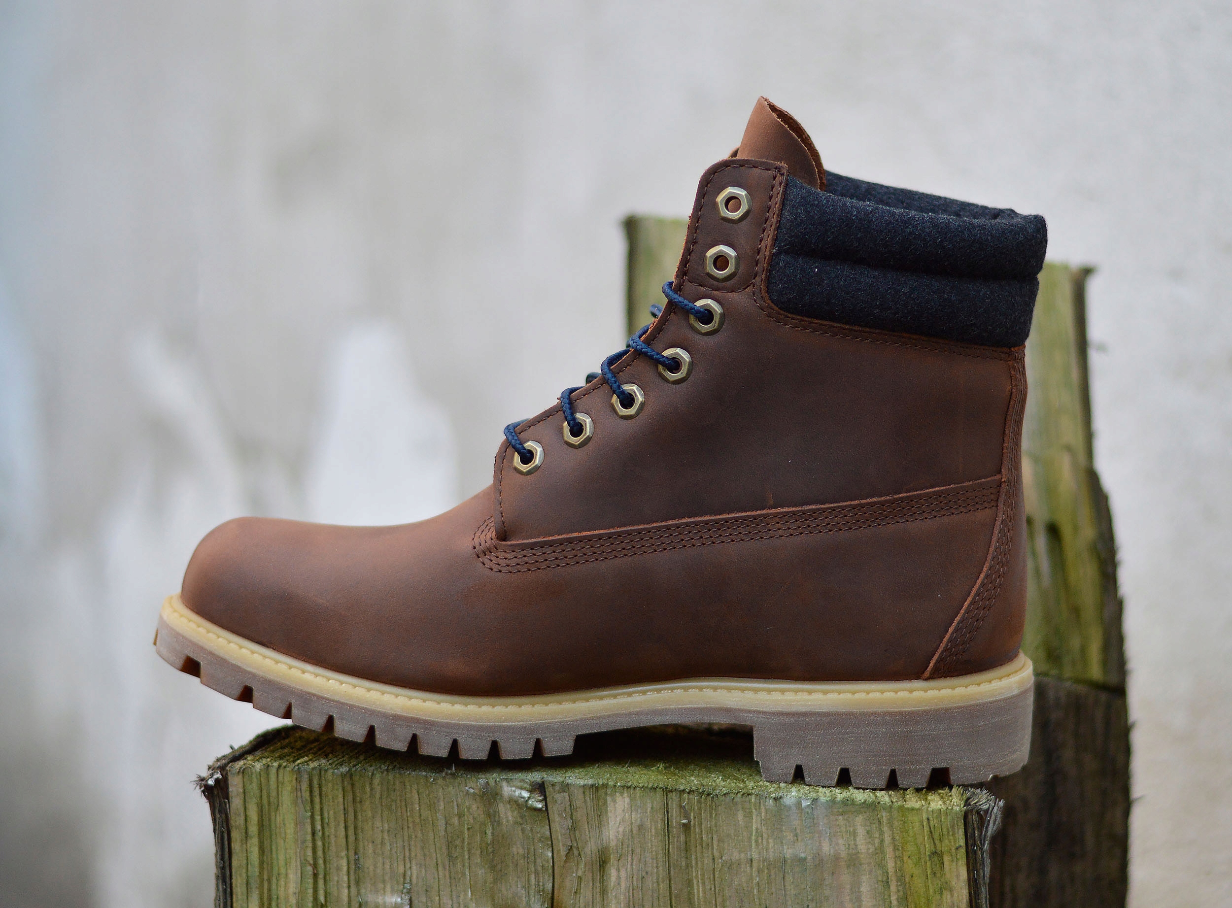 timberland 6 in double collar