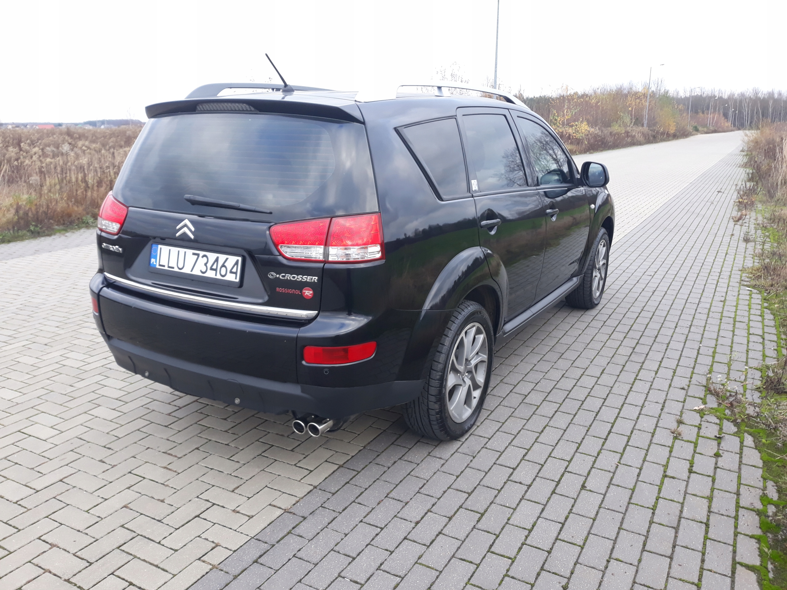 Citroen c crosser 2010