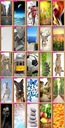 фото mini №5, Sticker photo wallpaper on door descent beaches sea