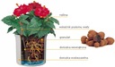 фото mini №5, Hydroponics great liner to hydroponics 32/ 19 plants
