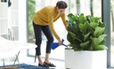 фото mini №7, Watering can elho plunge 1, 7l black original design