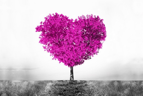 Fototapeta TREE OF LOVE miłość serce przyroda