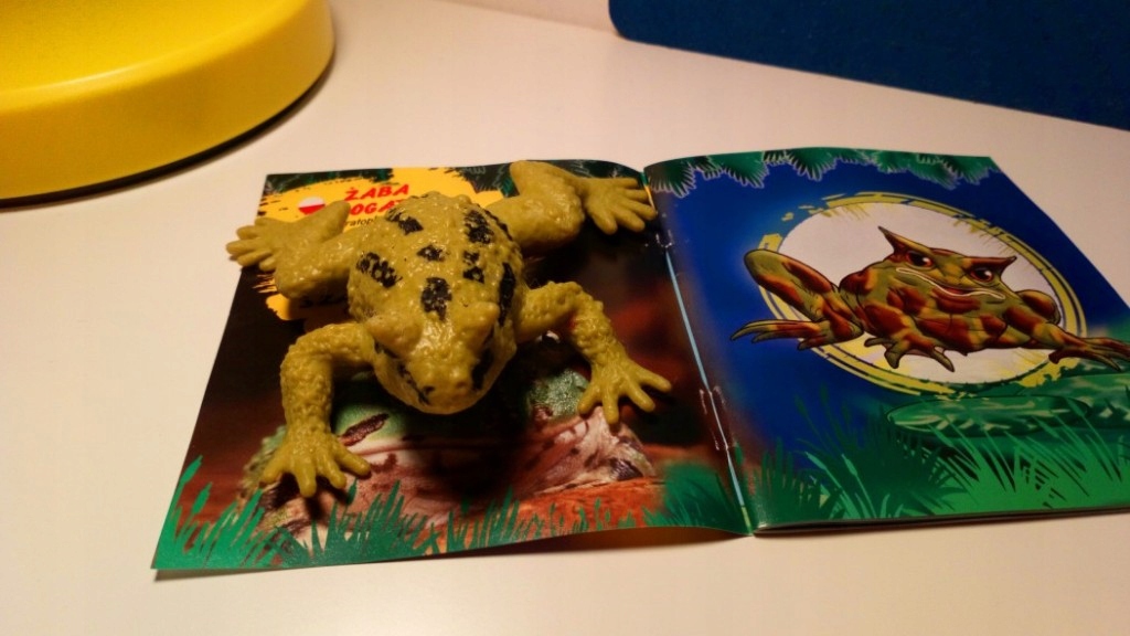 żaby z kolekcji FROGS&CO 7582099441 oficjalne archiwum Allegro