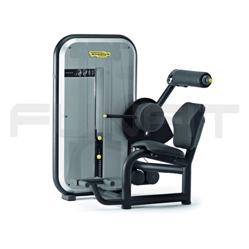 TECHNOGYM ELEMENT LOWER BACK-AS IS 750 EURO NETTO