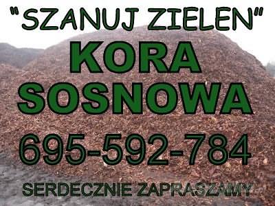 KORA SOSNOWA Wrocław Oława Jelcz Oleśnica Bierutów