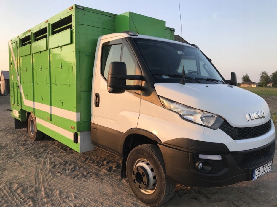 IVECO DAILY 70C17 do żywca bydła zwierząt PLAVAC