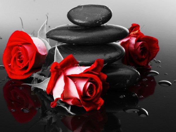 Fototapeta róże na tle kamieni akcent kolorystyczn