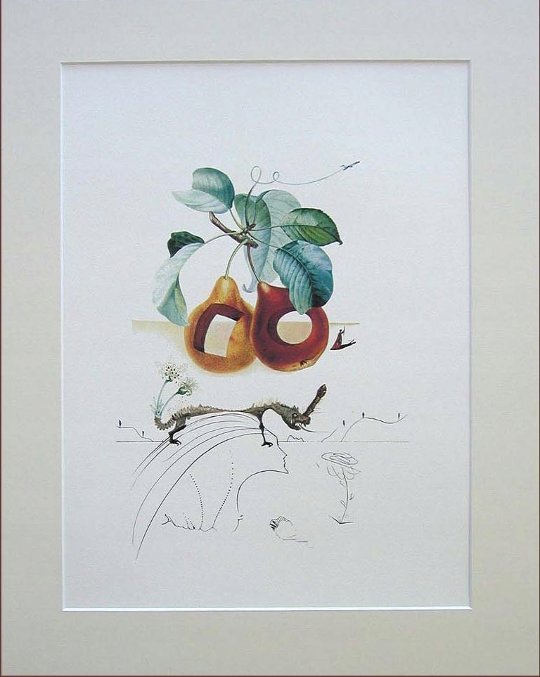 Salvador Dali Flordali Owoc z dziurą