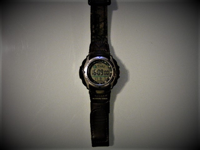 casio pathfinder 2805