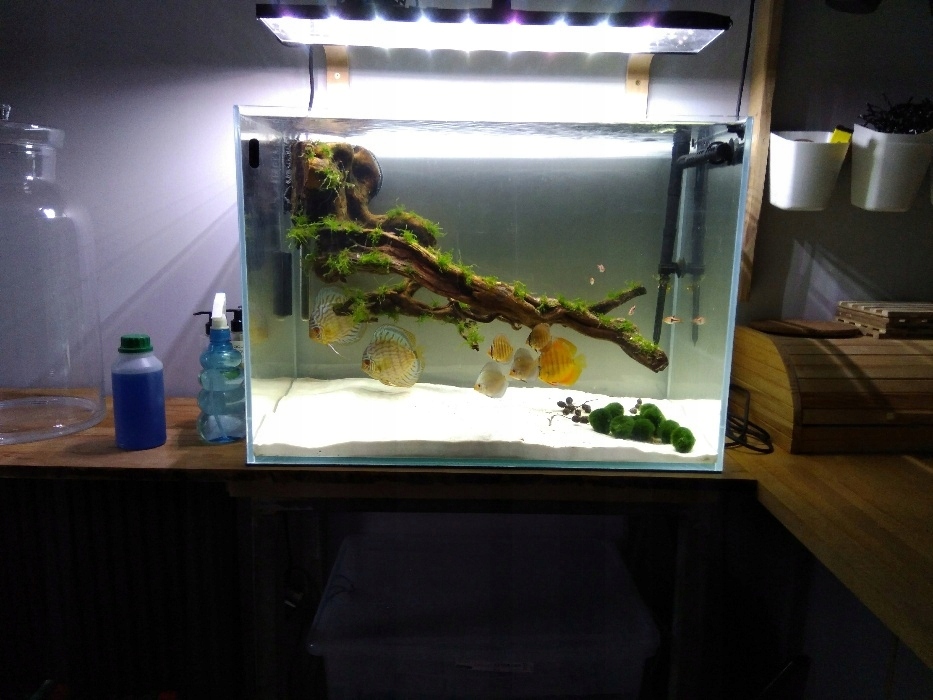 Akwarium Full OptiWhite 70x40x50