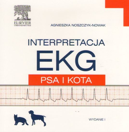 Interpretacja EKG psa i kota