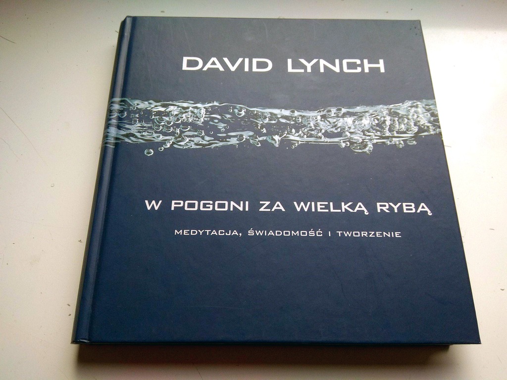 W POGONI ZA WIELKĄ RYBĄ - David Lynch