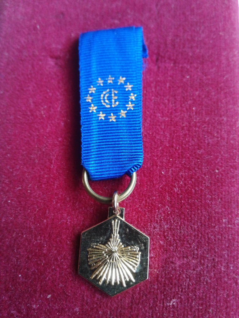Miniatura odznaczenia Unii Europejskiej .