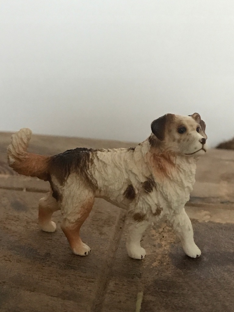 SCHLEICH owczarek australijski