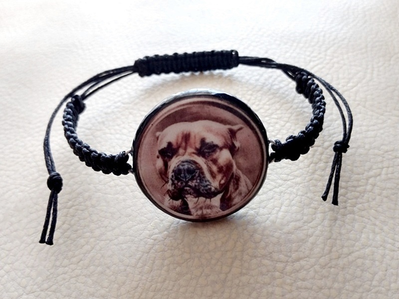 Bransoletka Dog Pies Amstaff Staffordshire Terrier