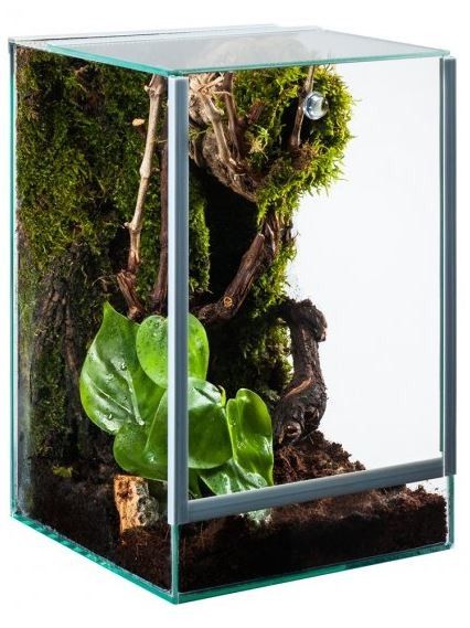 DIVERSA TERRARIUM PAJĄK 25X30X30 DLA PAJĄKA MODLIS