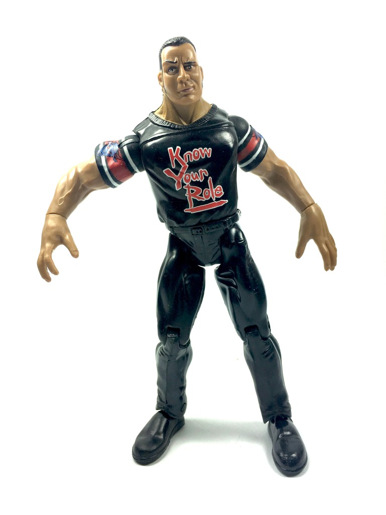 WWE WRESTLING FIGURKA JAKKS Pacific 1999 - 7365998829 - Oficjalne ...