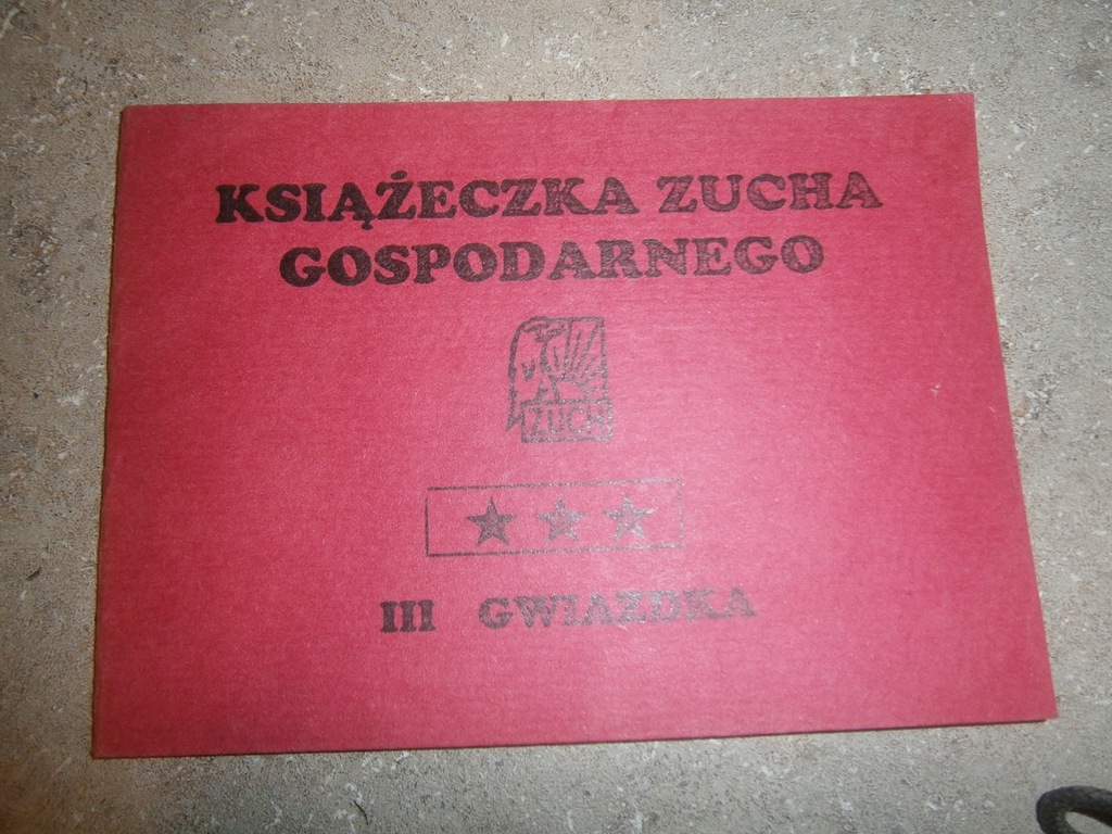 PORZĄDKI DOMOWE KSIĄŻECZKA ZUCHA