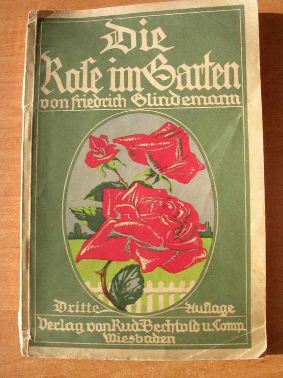 Die Rose im Garten  Friedrich Glindemann