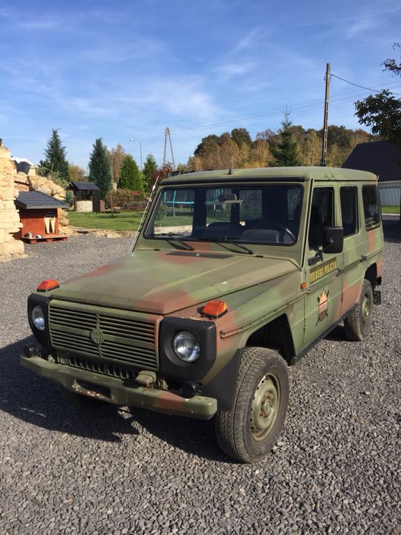 Mercedes G461