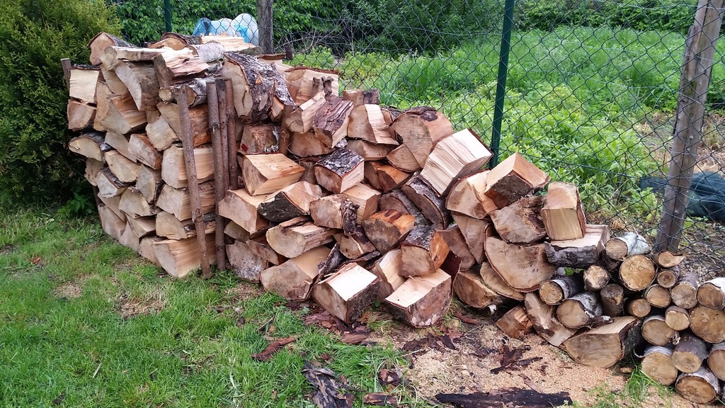 Drewno I łyko Odpowiadają Za Przewodzenie Różnych Substancji W Roślinie Drzewo Drewno opał OPAŁOWE KOMINKOWE Brzoza - 6839476120 - oficjalne