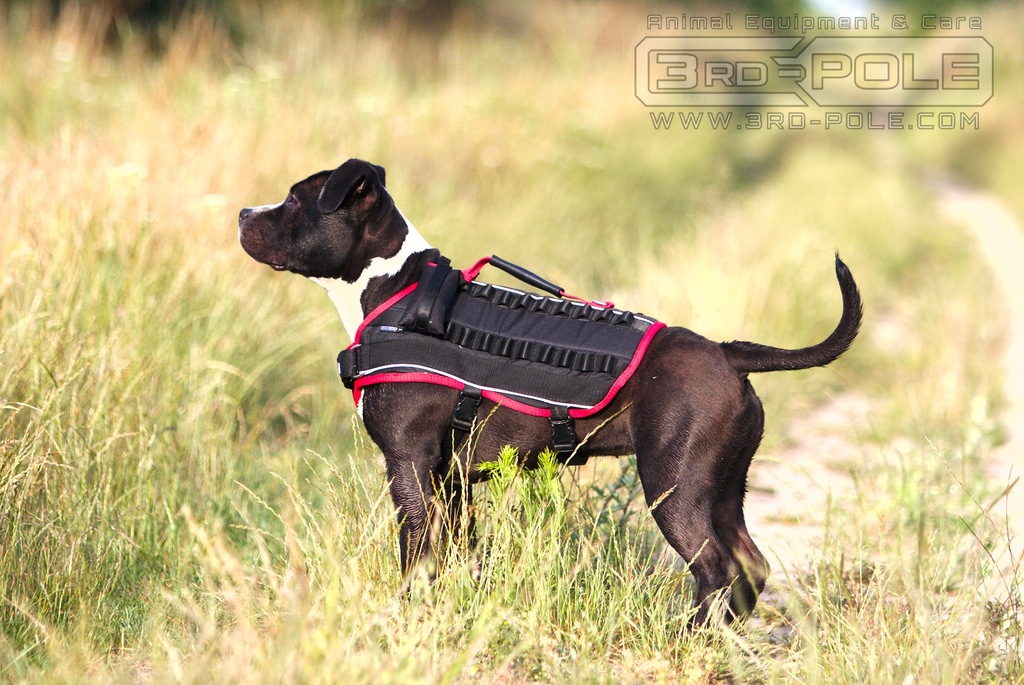 Amstaff outlet shop