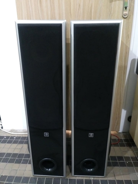 KOLUMNY DYNAMICS DF631C 6 OHM 30-200W