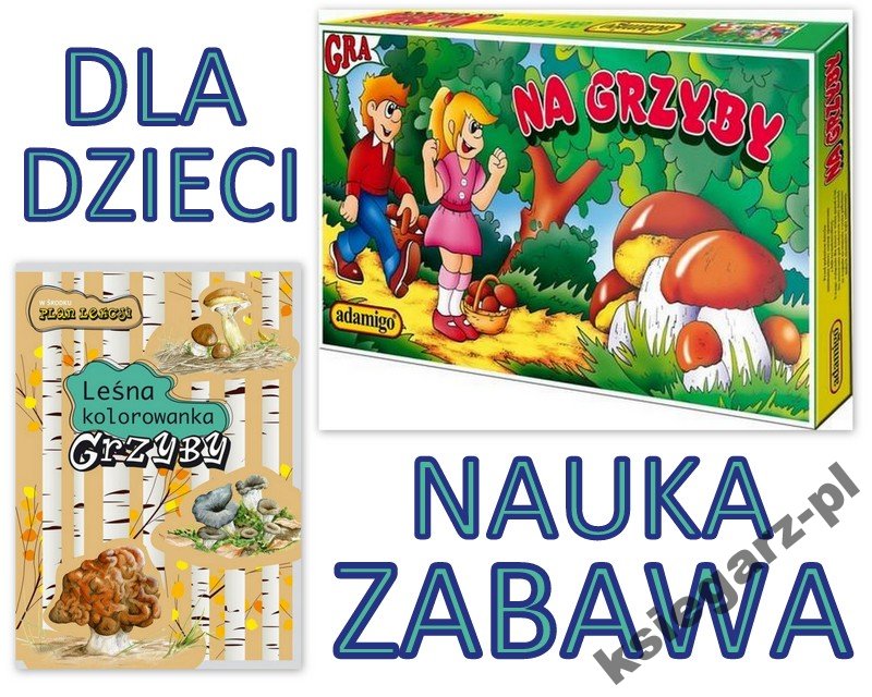 Lesna Kolorowanka Na Grzyby Gra Planszowa Nauka 6192071686