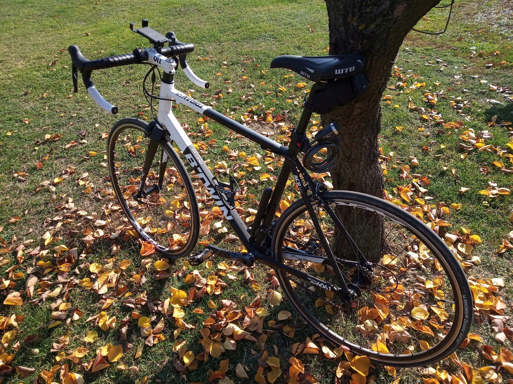 Rower szosowy Triban 520 2018 L 7621308171 oficjalne