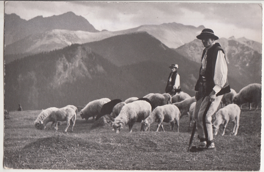 TATRY RUSINOWA POLANA OWCE  GÓRALE 1965