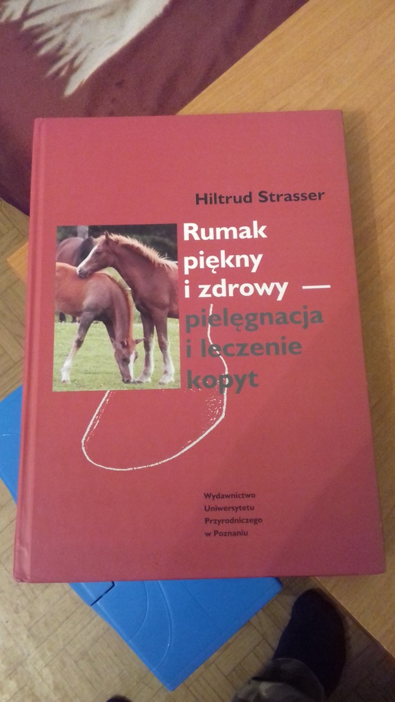 Hiltrud Strasser Rumak Piękny i zdrowy