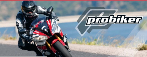 Купить Женский кожаный мотоциклетный костюм Probiker: отзывы, фото, характеристики в интерне-магазине Aredi.ru