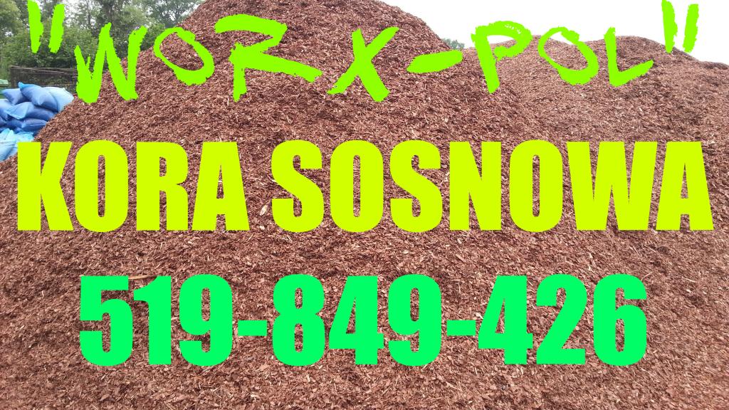 KORA SOSNOWA WROCŁAW TRZEBNICA OBORNIKI ŚL BRZEG