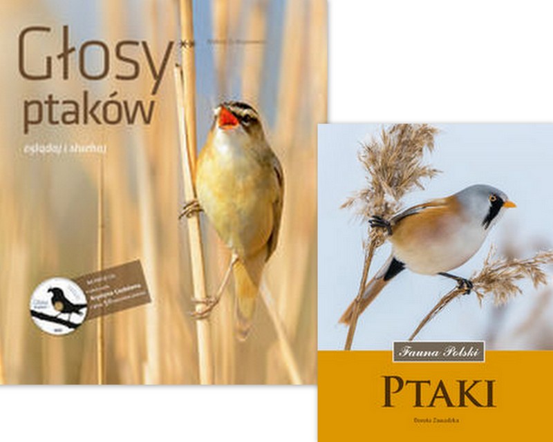 Ptaki Fauna Polski Głosy ptaków Tom 2 + CD GATUNKI