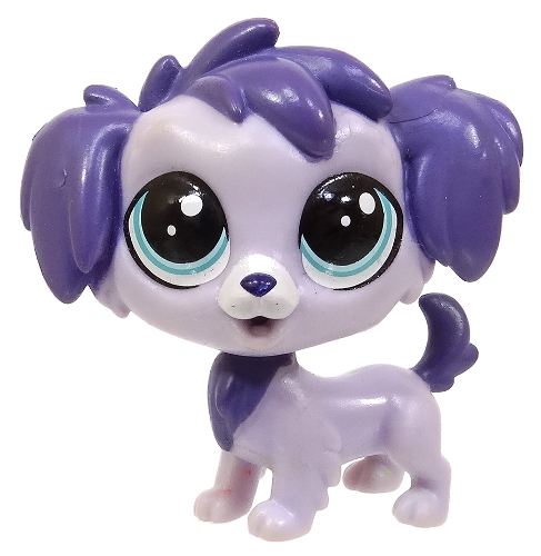 lps labrador