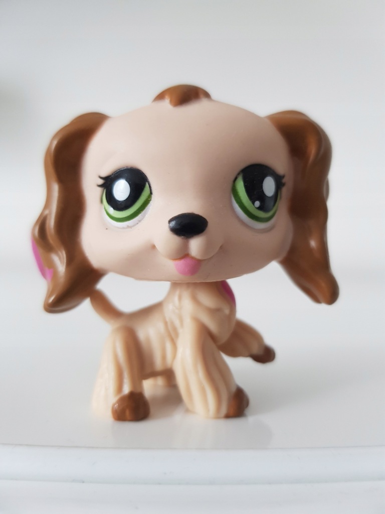 LPS spaniel walentynkowy wys.z PL