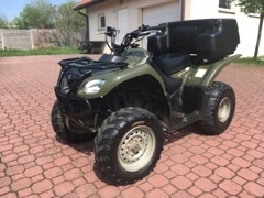 Quad Suzuki