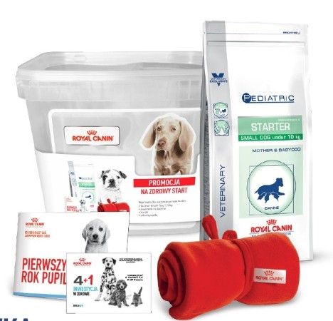 Pediatric starter small clearance dog