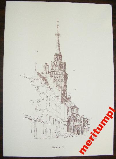 KATEDRA TARNÓW RYSUNEK KRUPIŃSKI