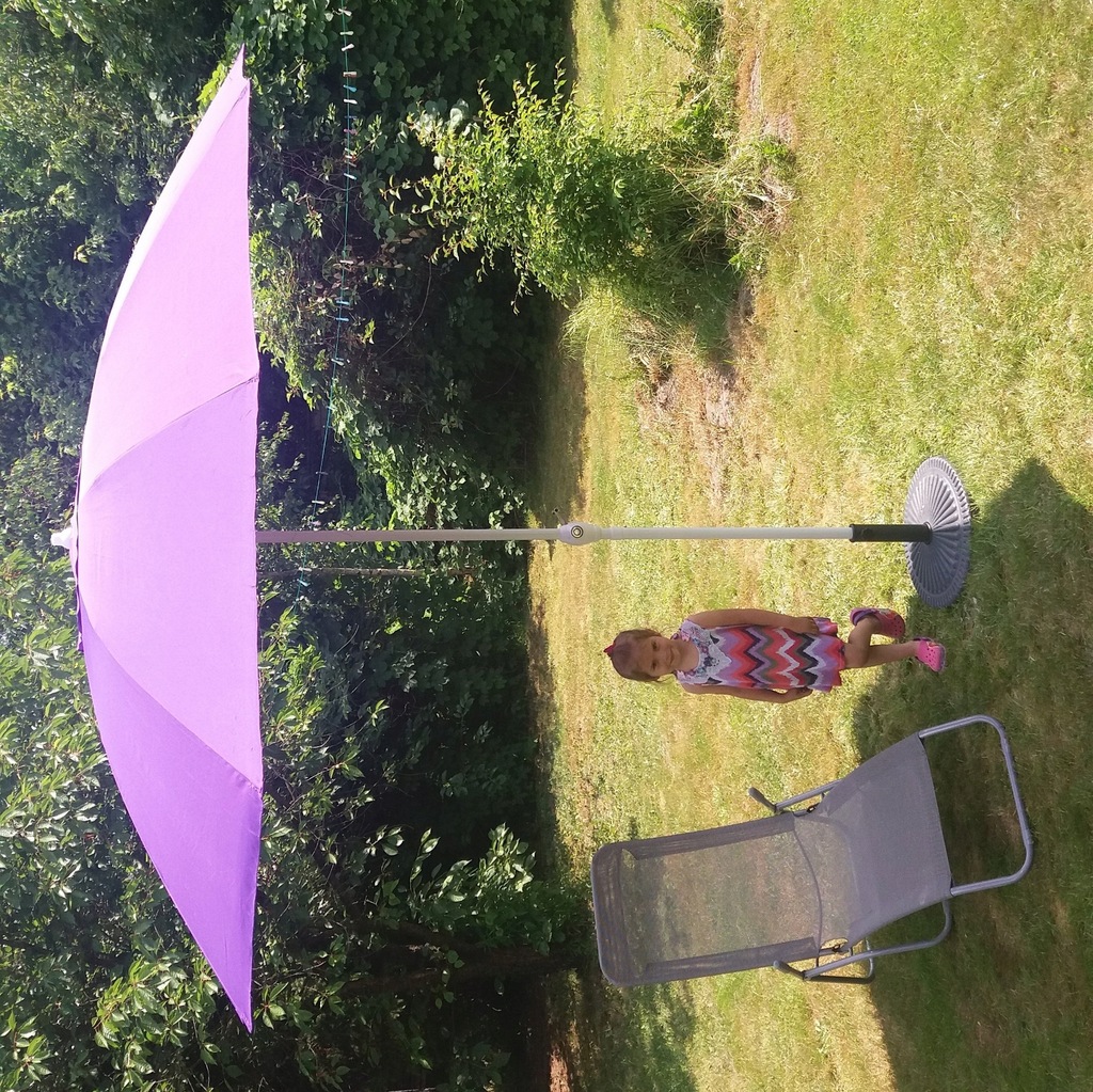 Bio Parasol Pilzbrut - Riesenschirmpilz Für Garten, 1 Liter, Mehrjährig