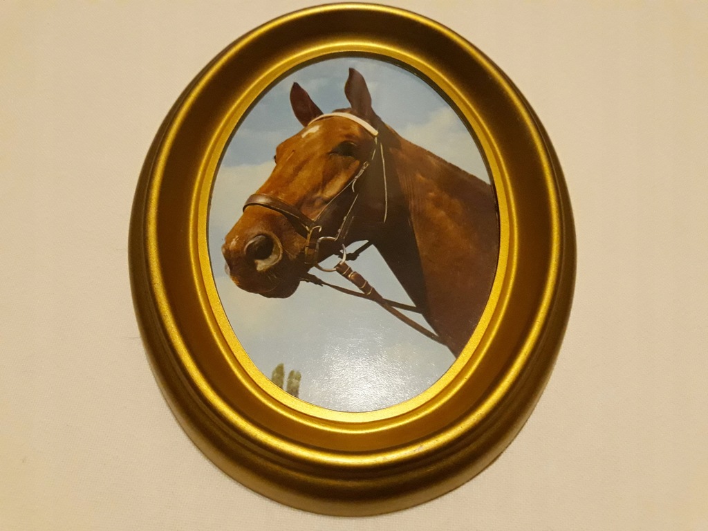 Obrazek - KOŃ - dla milośników koni